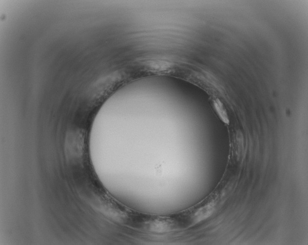 X0000062930412200601181314