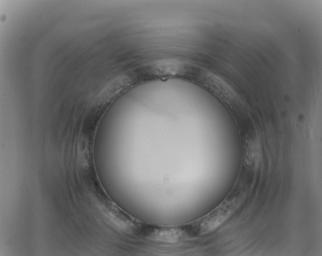 X0000062930414200601181314