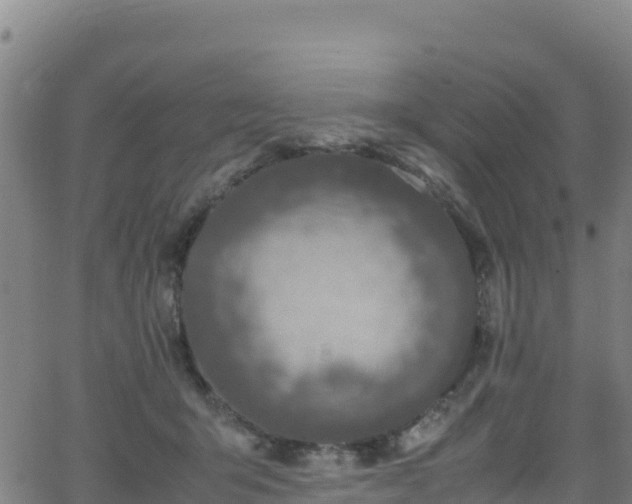 X0000062930415200601181314