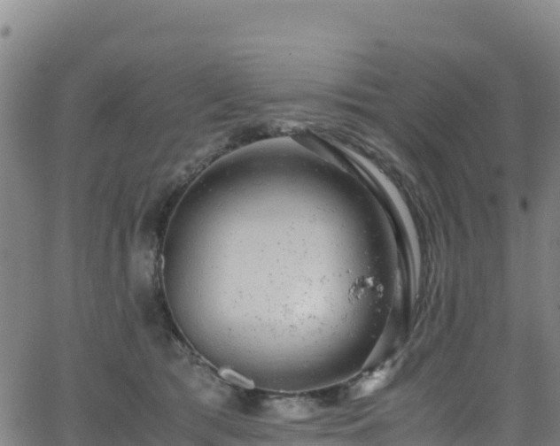 X0000062930417200601181314