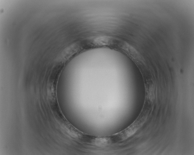 X0000062930418200601181314