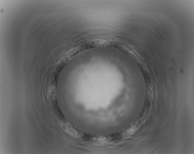 X0000062930419200601181314