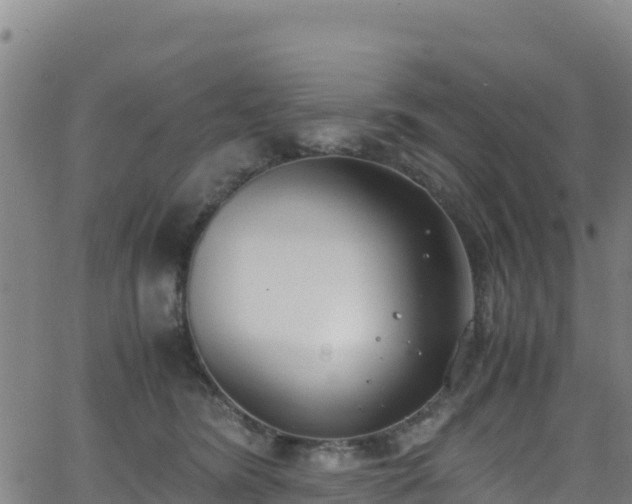 X0000062930420200601181314