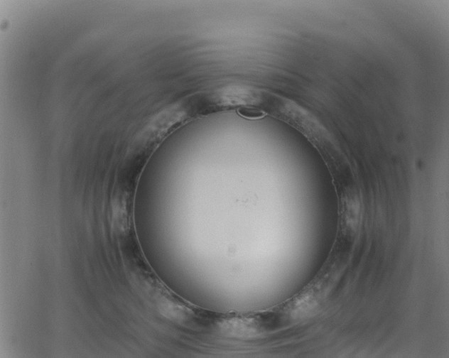 X0000062930422200601181314