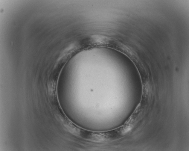 X0000062930423200601181314