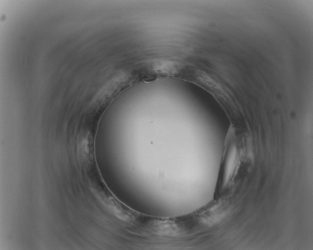 X0000062930424200601181314