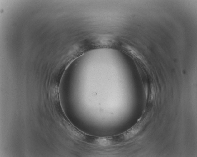 X0000062930425200601181314