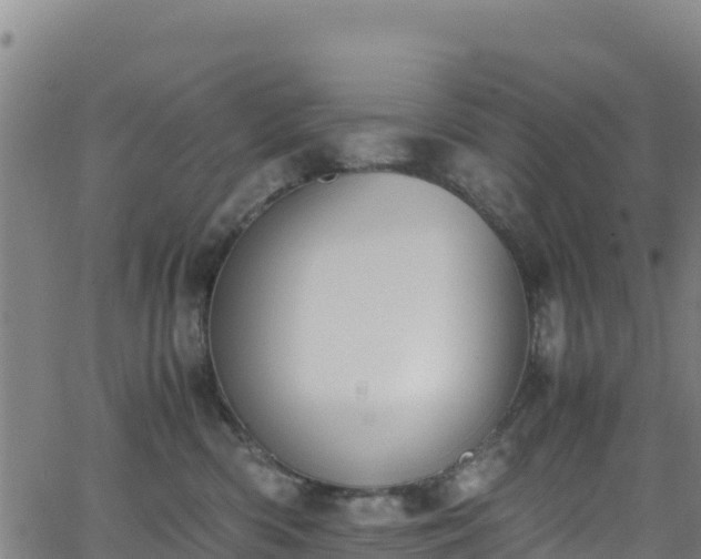 X0000062930426200601181314