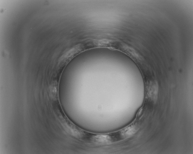 X0000062930427200601181314