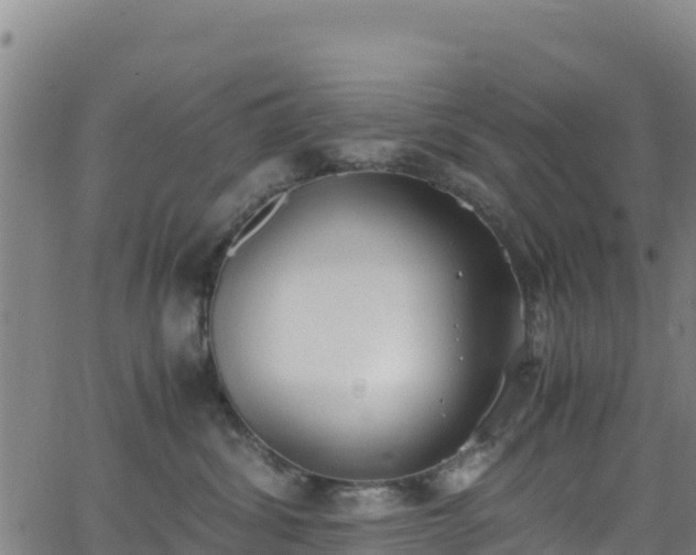 X0000062930428200601181314