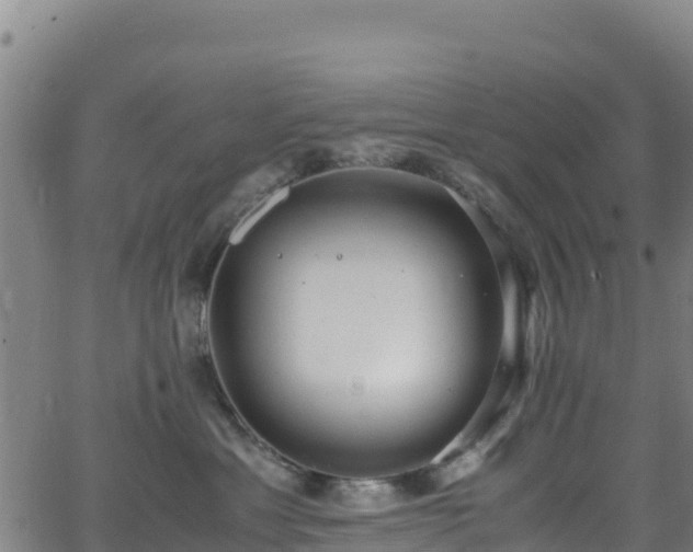 X0000062930429200601181314