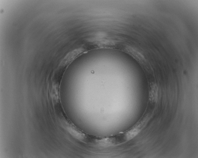 X0000062930430200601181314