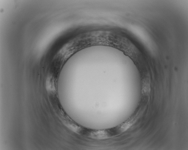 X0000062930431200601181314