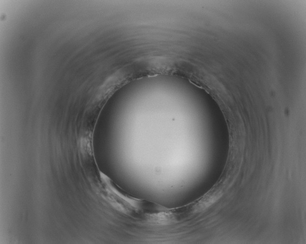 X0000062930432200601181314