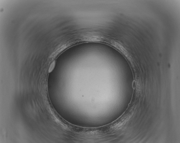 X0000062930433200601181313