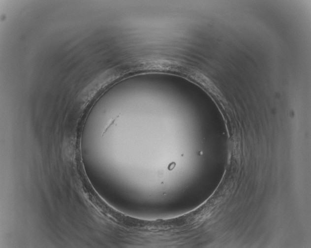 X0000062930434200601181313