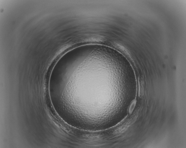 X0000062930435200601181313