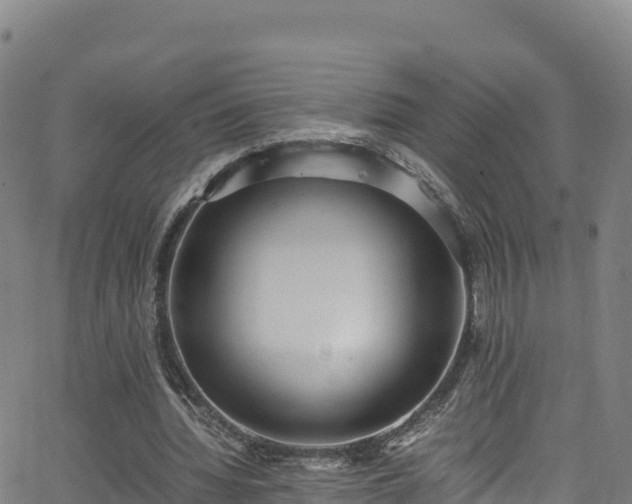 X0000062930436200601181313