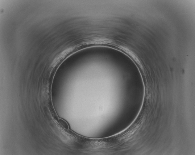 X0000062930437200601181313