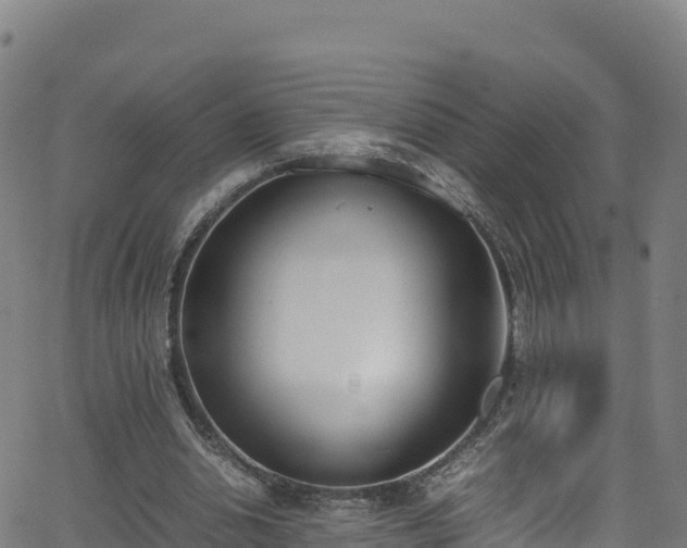 X0000062930438200601181313