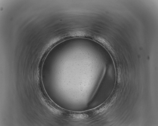 X0000062930439200601181313