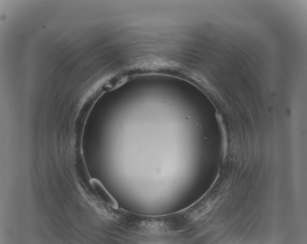 X0000062930440200601181313