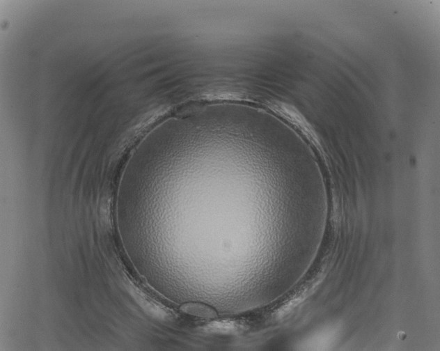 X0000062930441200601181313