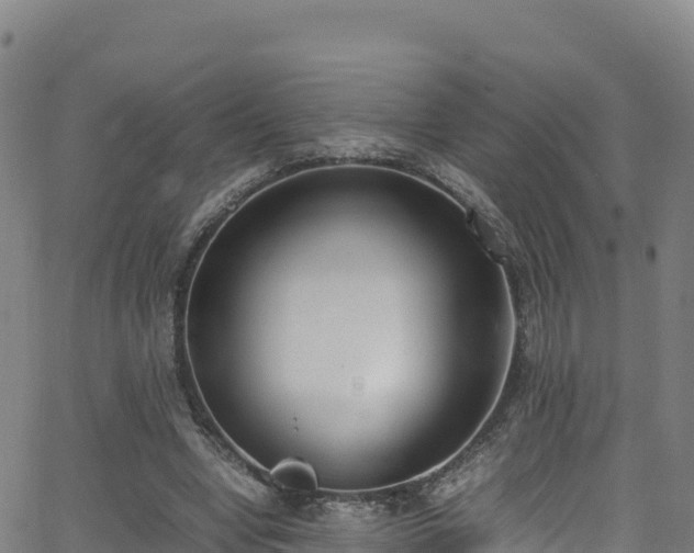 X0000062930442200601181313