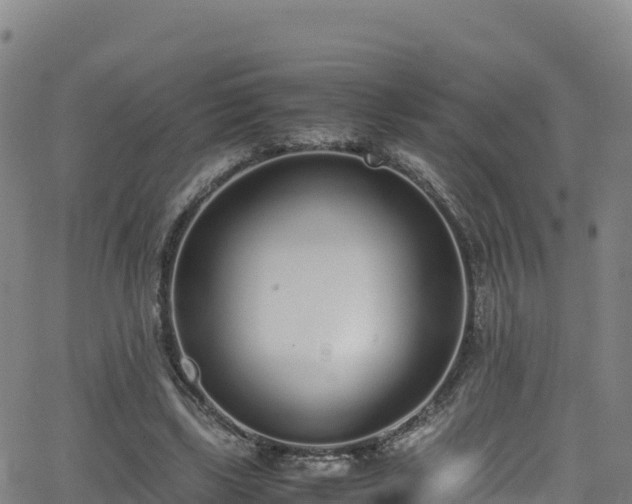 X0000062930443200601181314