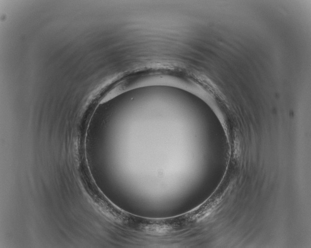 X0000062930444200601181314