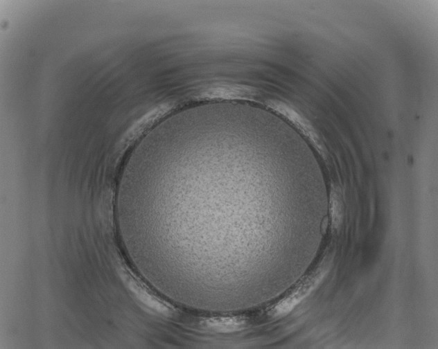 X0000062930445200601181314