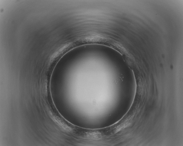 X0000062930446200601181314