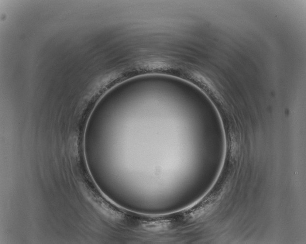 X0000062930447200601181314