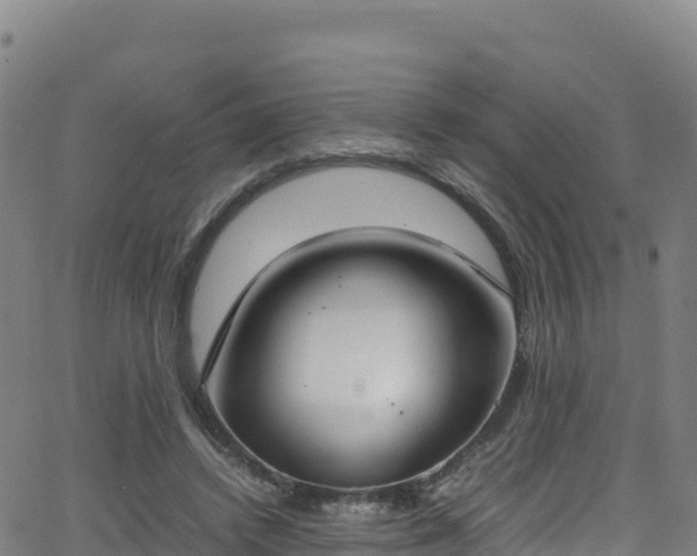 X0000062930448200601181314