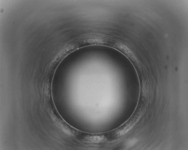 X0000062930449200601181314