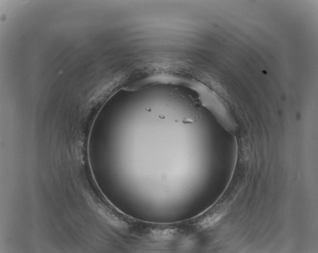 X0000062930450200601181314