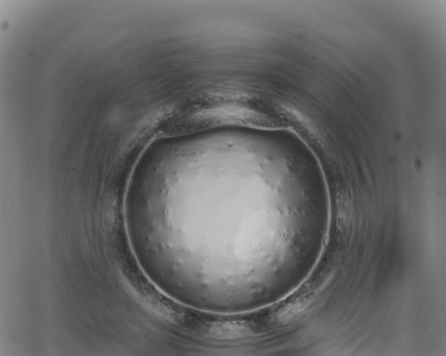 X0000062930451200601181314