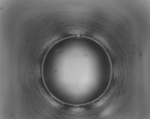 X0000062930453200601181314