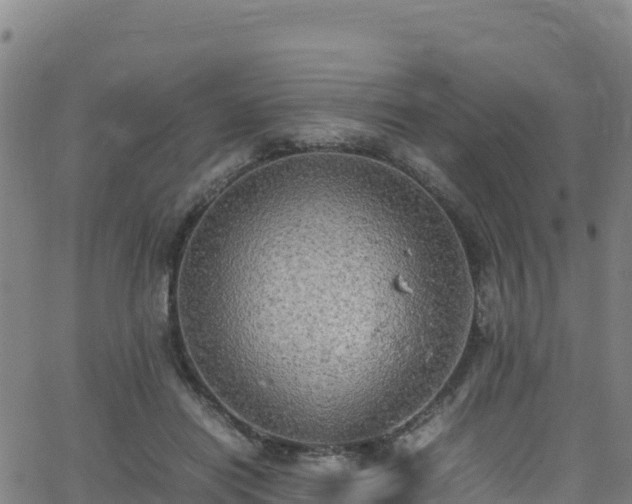 X0000062930454200601181314