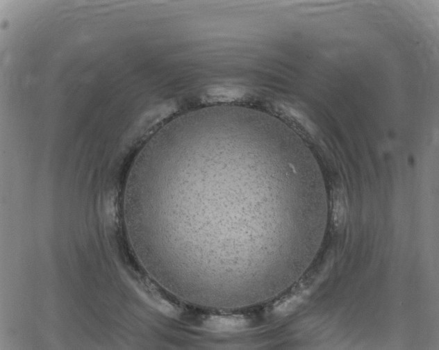 X0000062930455200601181314