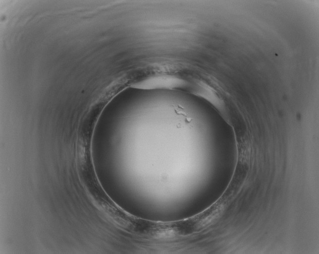 X0000062930456200601181314