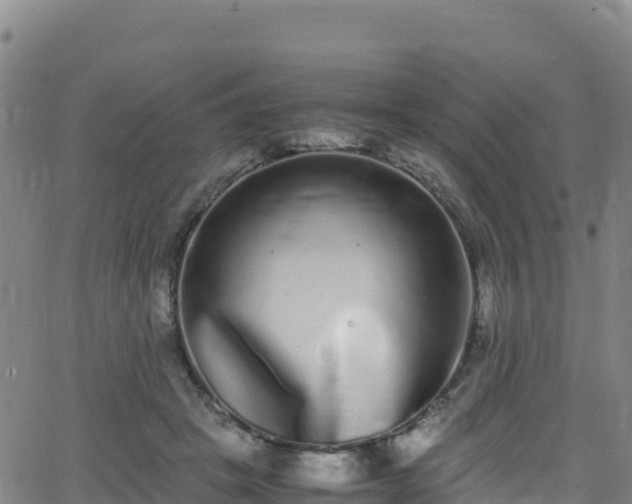 X0000062930457200601181314