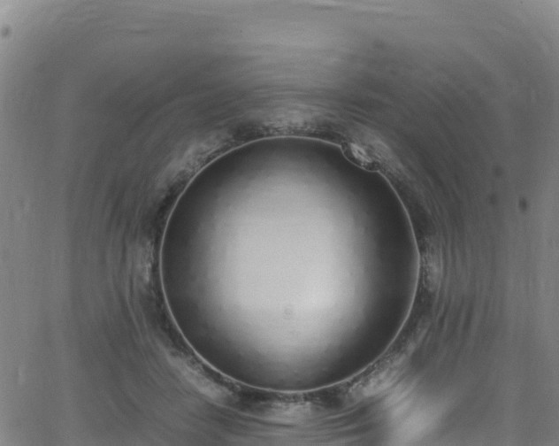 X0000062930458200601181314