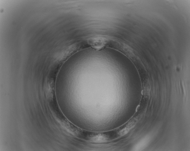 X0000062930460200601181314