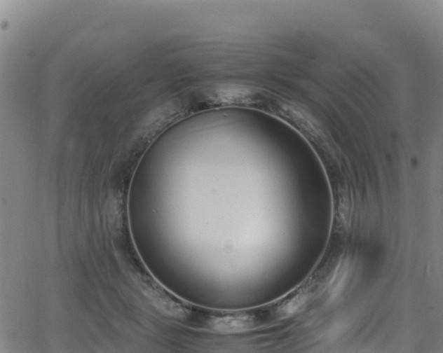 X0000062930461200601181314