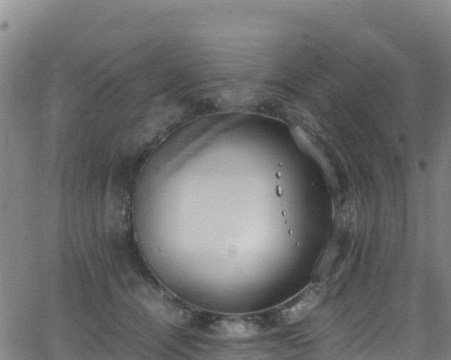 X0000062930464200601181314