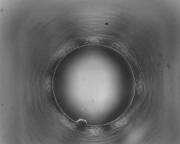 X0000062930466200601181314