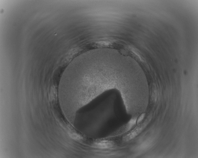 X0000062930467200601181314