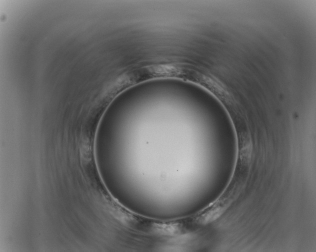 X0000062930469200601181314