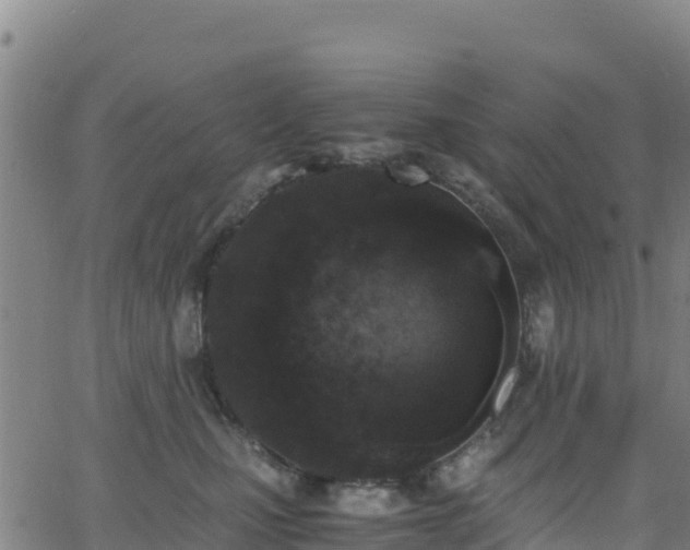 X0000062930471200601181314